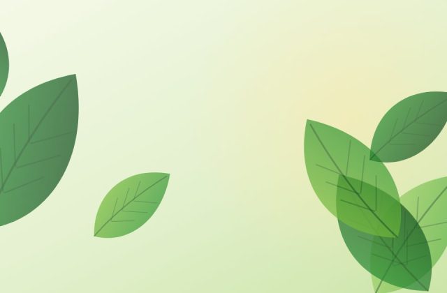 Vata, Pitta and Kapha: What Is Your Prakriti?