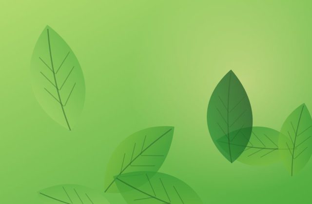 Joint Pain: Everyday Diet and Lifestyle Tips from an Ayurvedic View