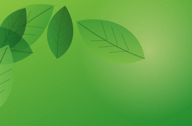 Dinacharya: A Simple Ayurvedic Daily Routine for Better Health